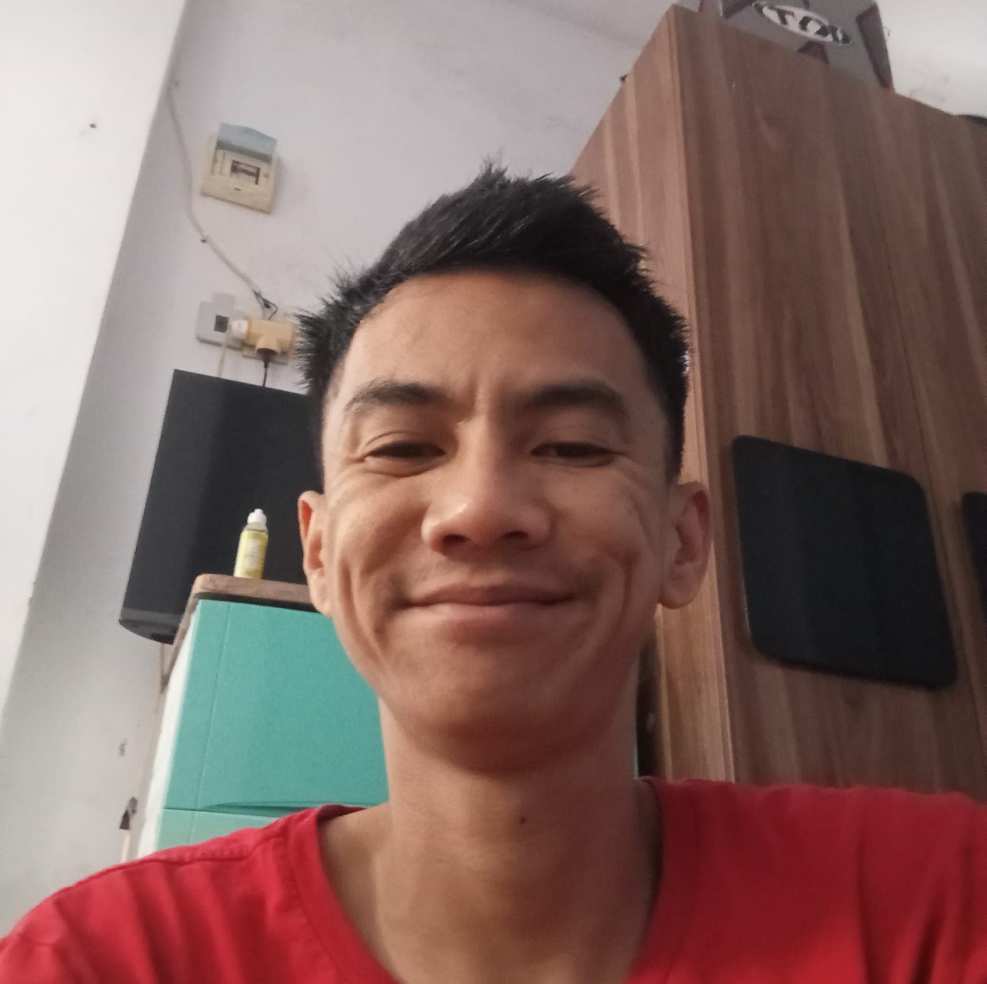 Ady Pariwara Syam